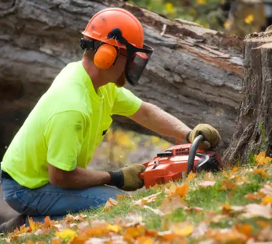 tree services Carolina Beach